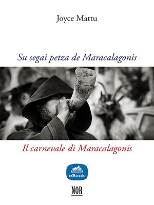 cover image of Su segai petza de Maracalagonis